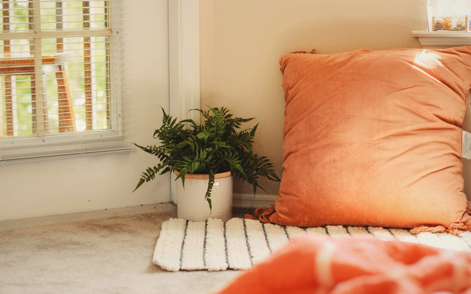 In Praise of the Quiet Joys
